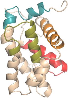 Competition Between Phenothiazines and BH3 Peptide for the Binding Site of the Antiapoptotic BCL-2 Protein